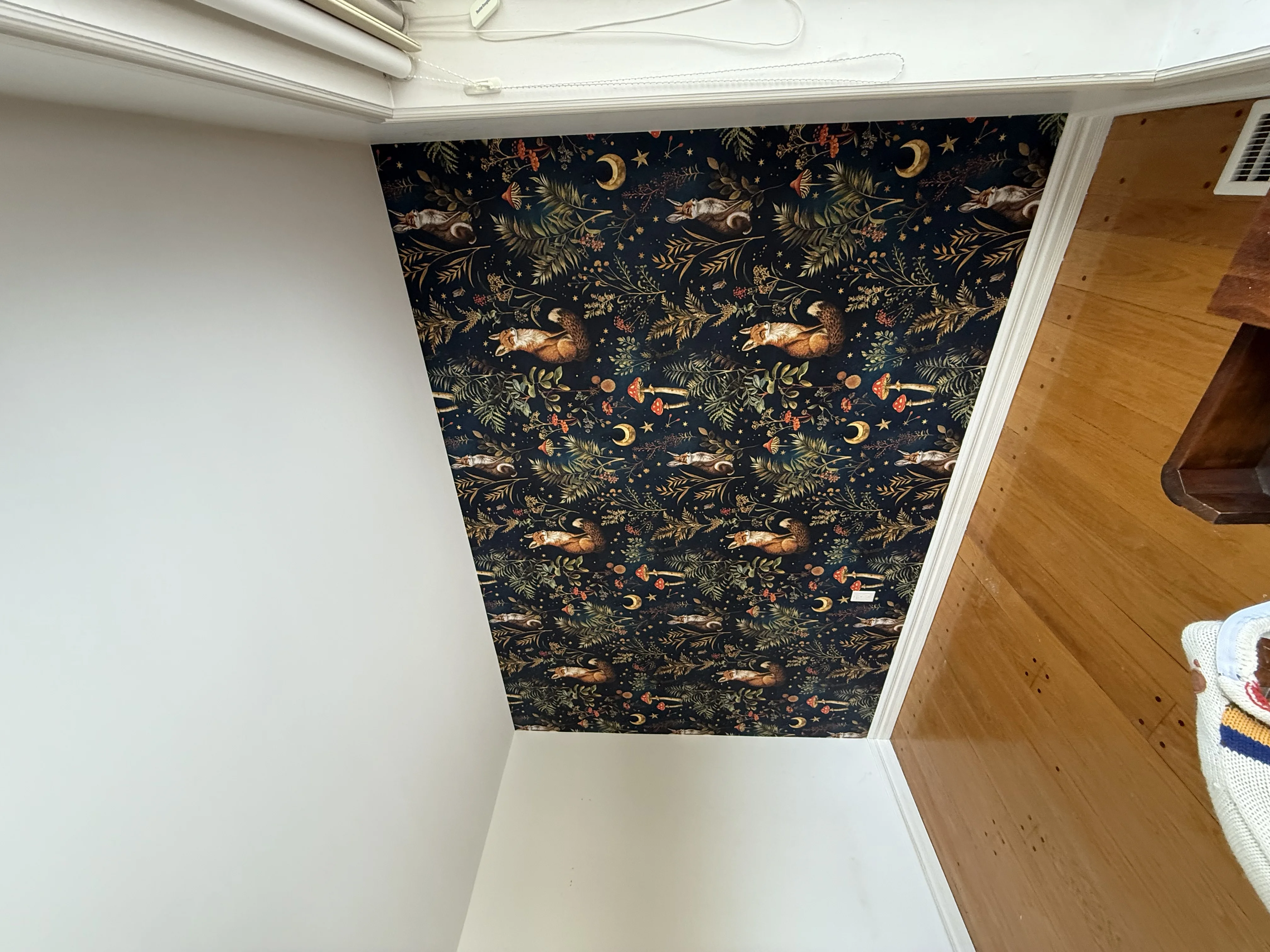 Wallpaper Installation - Professional work